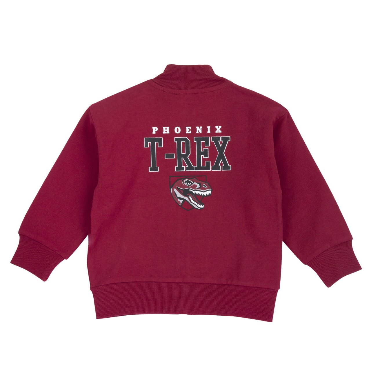 Felpa con zip Dinosauro - Chicco