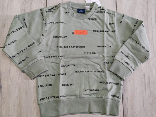 Felpa garzata verde salvia - Chicco