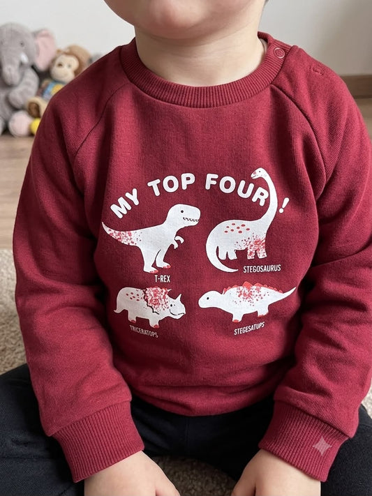 Felpa Dino Theme- Chicco