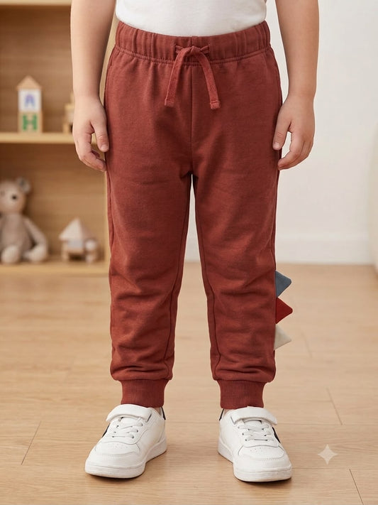 Pantalone Dino Mattone-Chicco